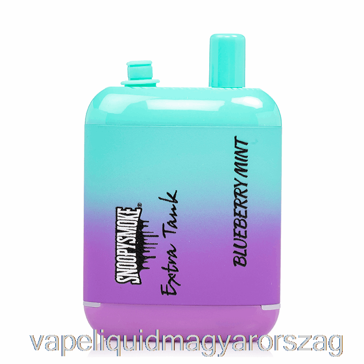 Snoopy Füst Extra Tartály 2 15000 Eldobható áfonyás Menta Vape E Cigi